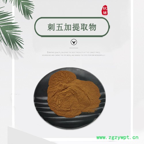 刺五加提取物 10:1 浓缩刺五加浸膏粉 富含刺五加皂甙 现货图5