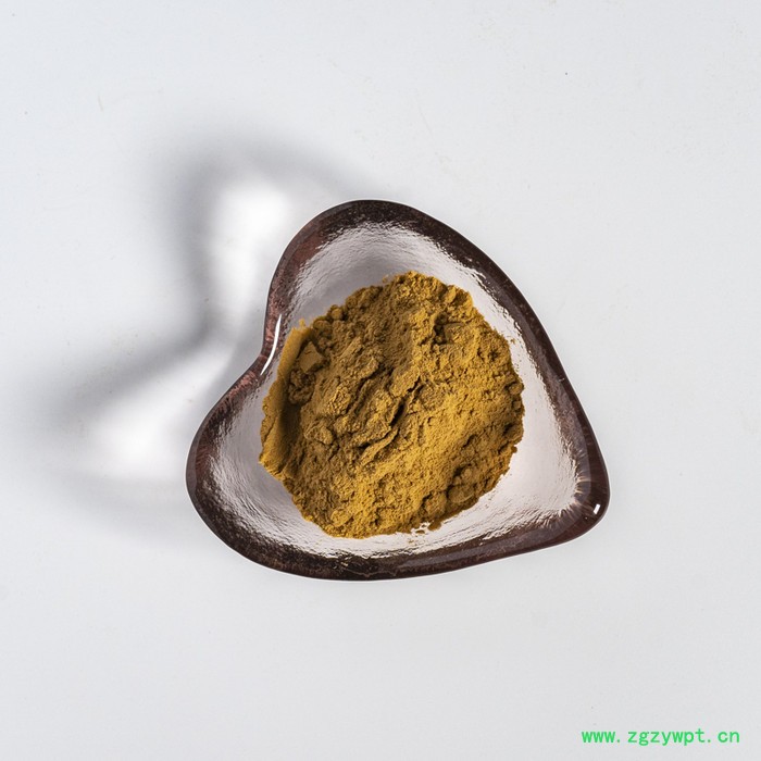 金萃坊厂家现货供应  刺五加提取物10:1 刺五加粉图3