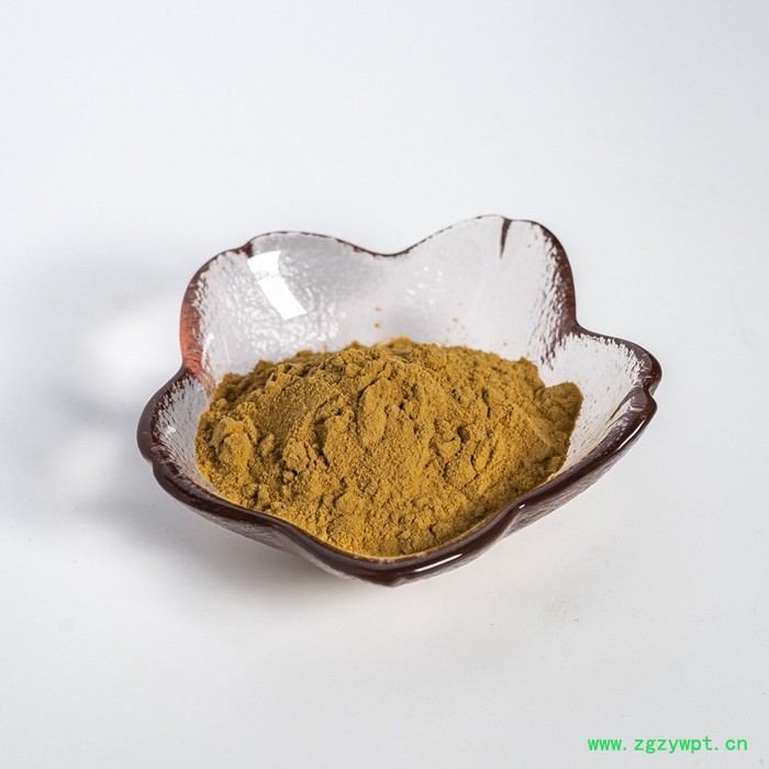 金萃坊厂家现货供应  刺五加提取物10:1 刺五加粉图4