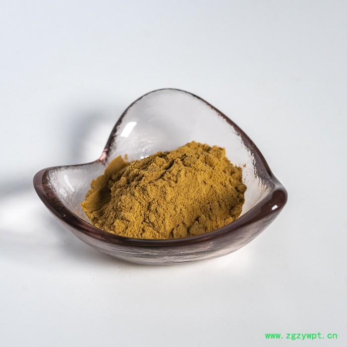 金萃坊厂家现货供应  刺五加提取物10:1 刺五加粉图2