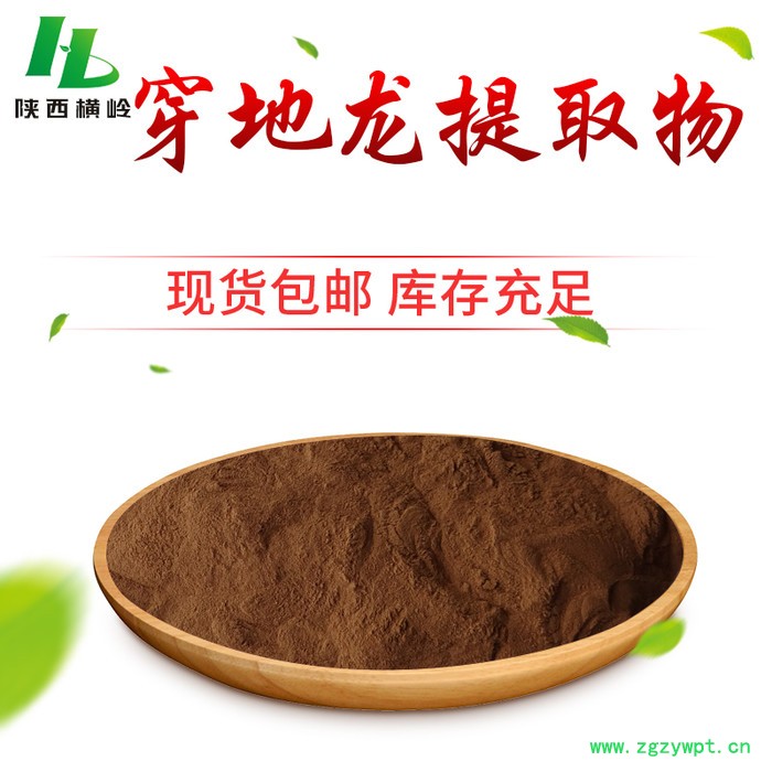 穿地龙提取物 穿地龙薯蓣皂甙 穿地龙浓缩粉 横岭 **图2