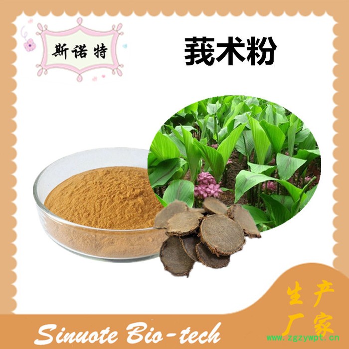 斯诺特 莪术提取物 莪术粉 厂家供应 包邮图2