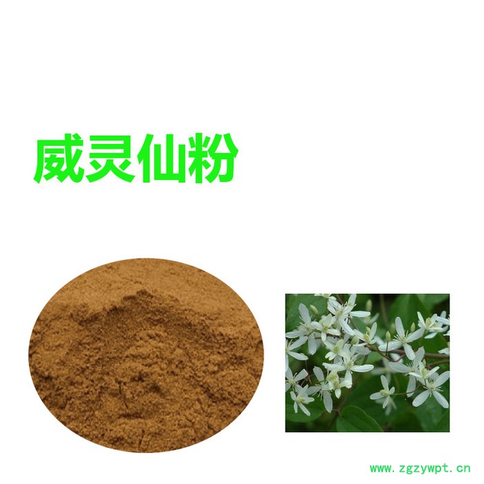 甘肃斯诺特  威灵仙速溶粉   免费寄样品     威灵仙粉图5