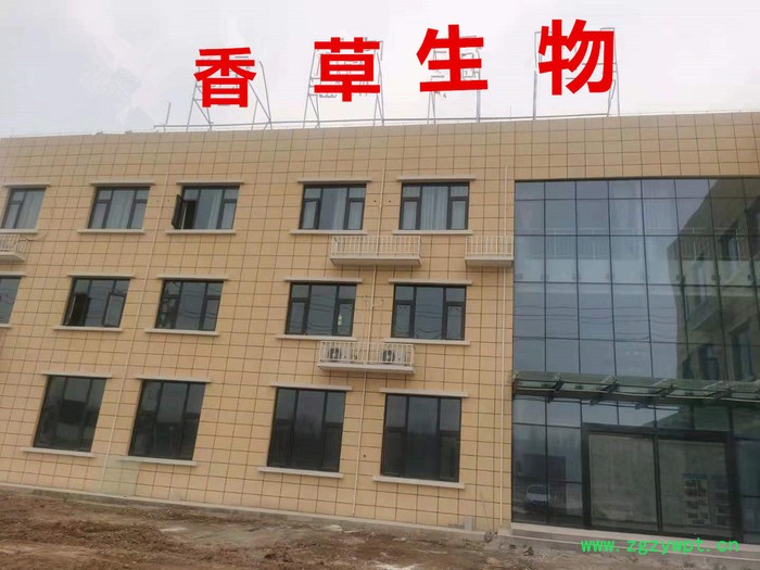 郁金提取物10:1  温郁金粉80目 莪术根提取物供应图3