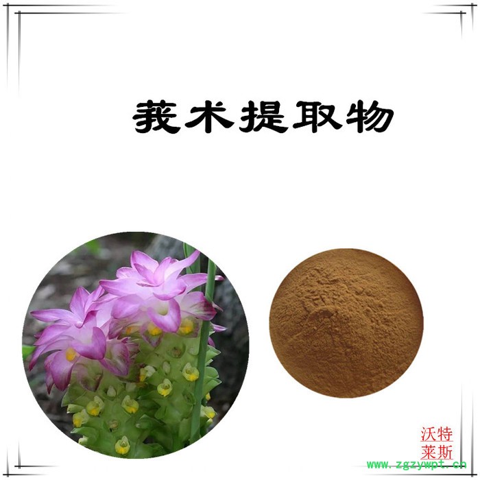 沃特莱斯 速溶莪术粉 莪术提取物10:1图5