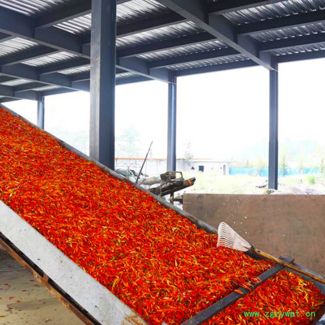 百信紫草烘干机   紫草脱水设备  紫草干燥机    多层连续式网带紫草烘干机图2