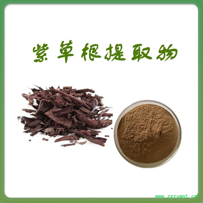 紫草根浓缩粉 水溶 可定制 紫草根提取物厂家 紫草根提取物图3