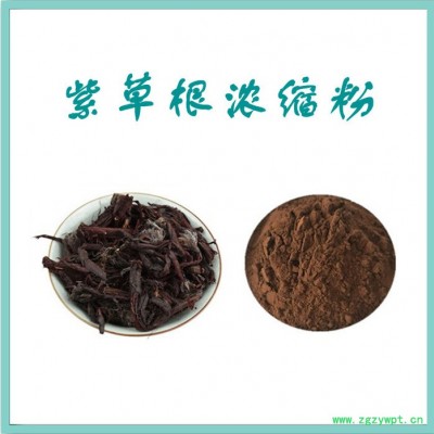 紫草根浓缩粉 水溶 可定制 紫草根提取物厂家 紫草根提取物