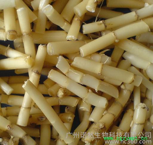 生物化工-植物提取物-批发供应进口美国Active 白茅根提取物  的补水锁水保湿成分图3