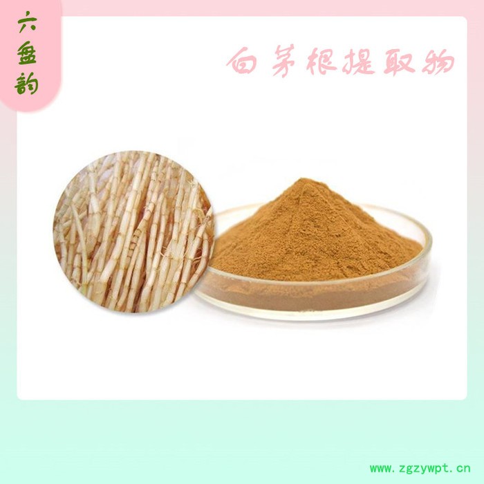 白茅根粉 白茅根提取物10:1 全水溶 质量稳定图2