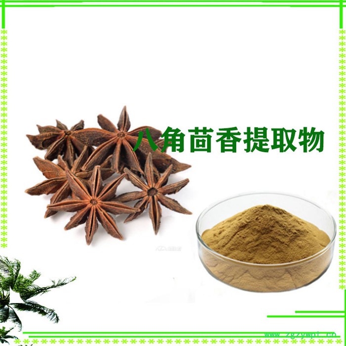 紫草提取物  10:1  紫草素  紫草粉图4