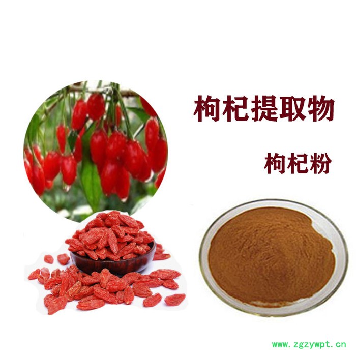 紫草提取物  10:1  紫草素  紫草粉图5