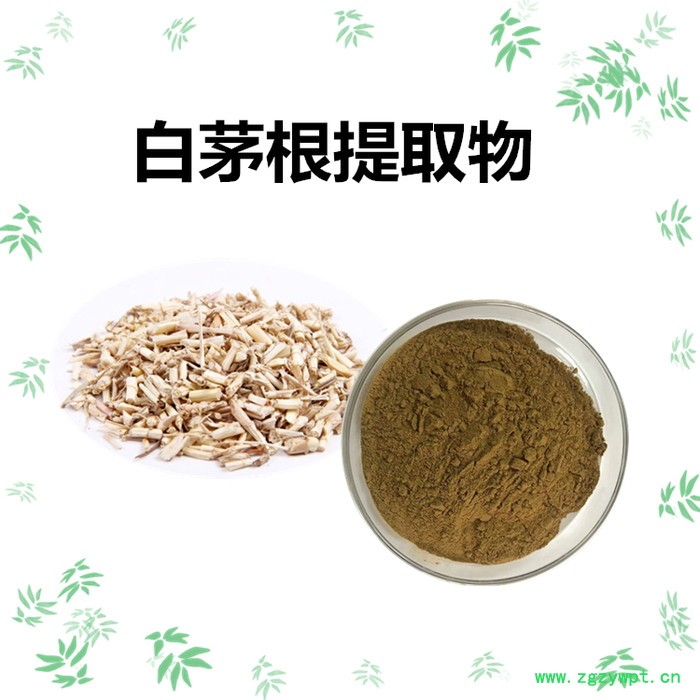 扶风斯诺特生产 白茅根提取物 白茅根浓缩粉图3