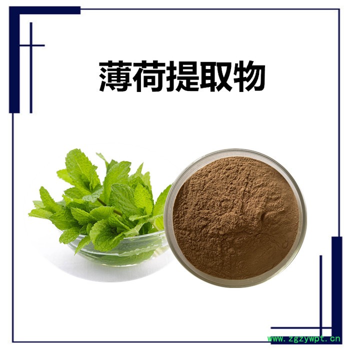 扶风斯诺特生产 白茅根提取物 白茅根浓缩粉图5