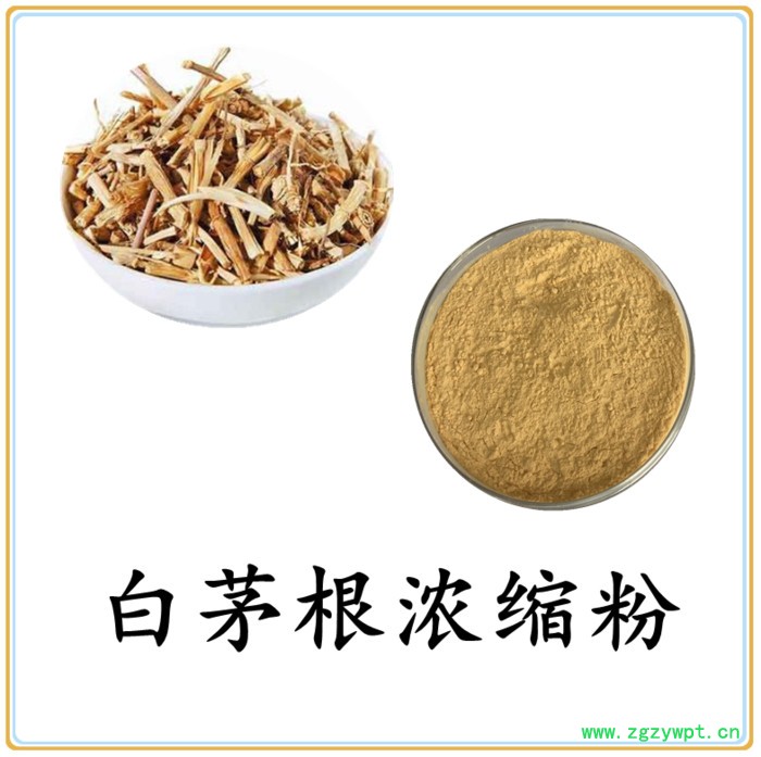 白茅根浓缩粉 水溶 六盘韵 可定制 源头厂家图4