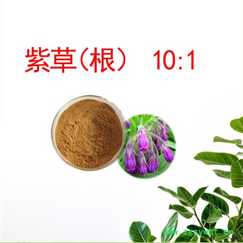 森杰生物 厂家现货供应 紫草(根)提取物 10:1 植物提取物图4