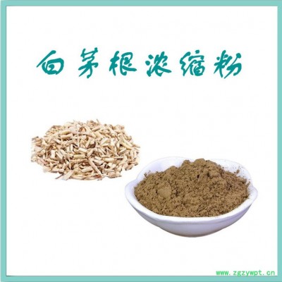 白茅根粉 水溶 可定制 白茅根提取物厂家