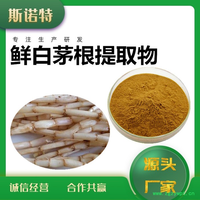斯诺特 鲜白茅根粉 鲜白茅根速溶粉 厂家供应 包邮图8