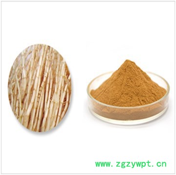 白茅根提取物天然原料图2