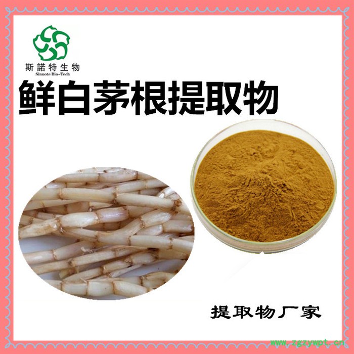 斯诺特 鲜白茅根浸膏粉 鲜白茅根喷雾干燥粉 药食同源 生产厂家图5