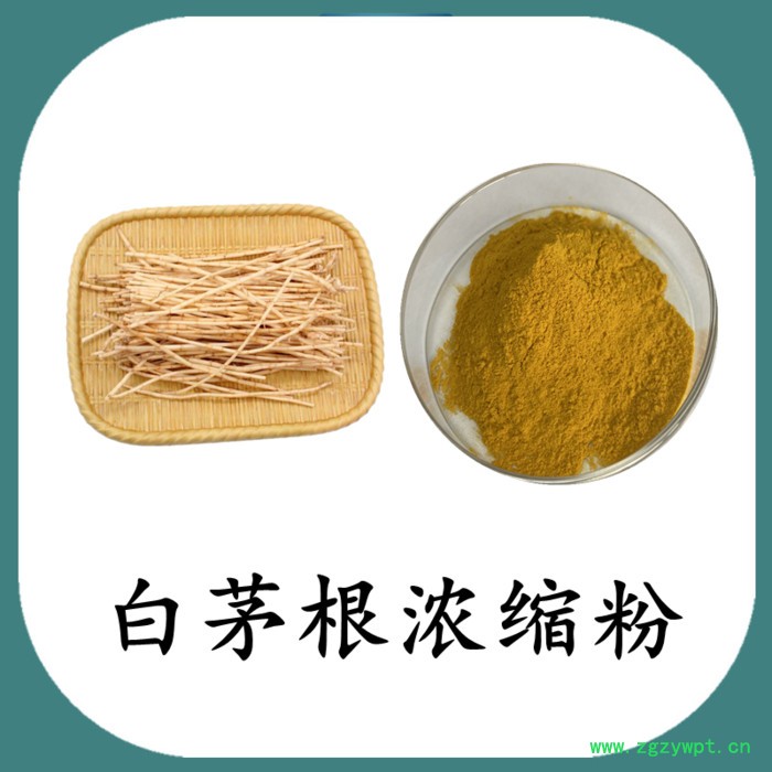 白茅根浓缩粉 水溶 六盘韵 可定制图8