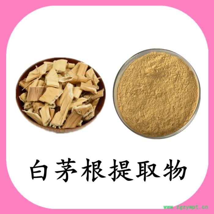 白茅根浓缩粉 水溶 六盘韵 可定制图2