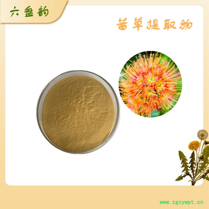 茜草浓缩粉 全水溶 10:1茜草提取物 可定制 六盘韵图3