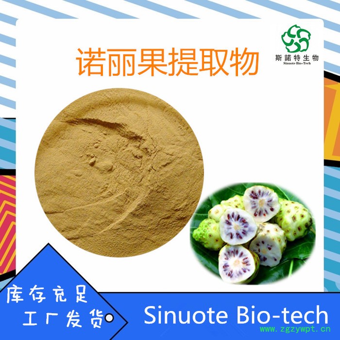 斯诺特 牛蒡根粉 牛蒡根提取物  水溶性多糖  牛蒡根浸膏图4