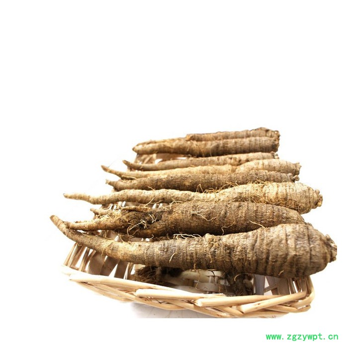 基地自产**四叶参种子，四叶参是前景好效益高的道地药材种植品种，药食同源的中草药图3