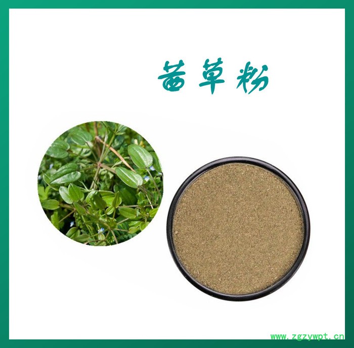 茜草粉 水溶 可定制 茜草提取物厂家图3