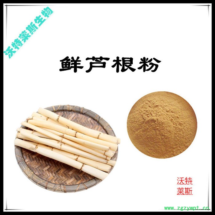 沃特莱斯 鲜芦根粉98% 鲜芦根提取物 10:1 鲜芦根速溶粉图5