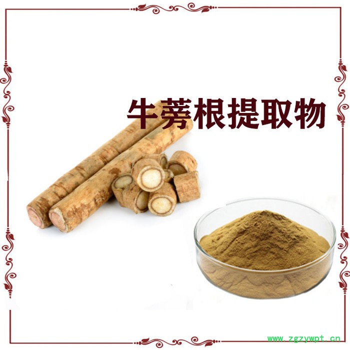 牛蒡根提取物 10:1 牛蒡根粉 牛蒡根浸膏粉图4