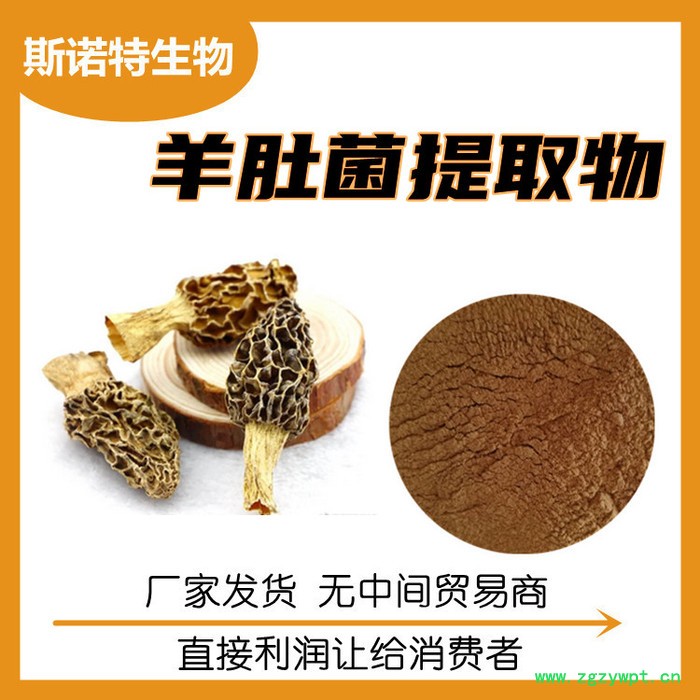 骨碎补提取物 浓缩萃取粉 水溶性好 广泛应用图8