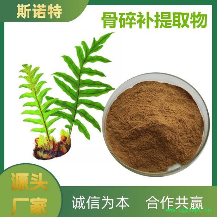 骨碎补提取物 浓缩萃取粉 水溶性好 广泛应用图4