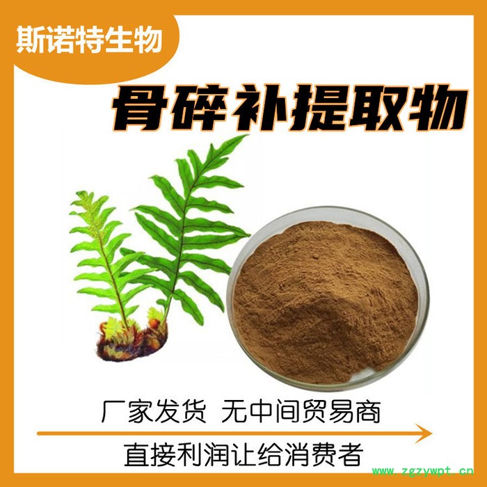 骨碎补提取物 浓缩萃取粉 水溶性好 广泛应用图5