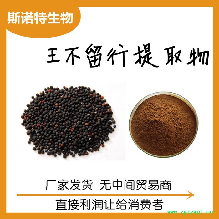 骨碎补提取物 浓缩萃取粉 水溶性好 广泛应用图2