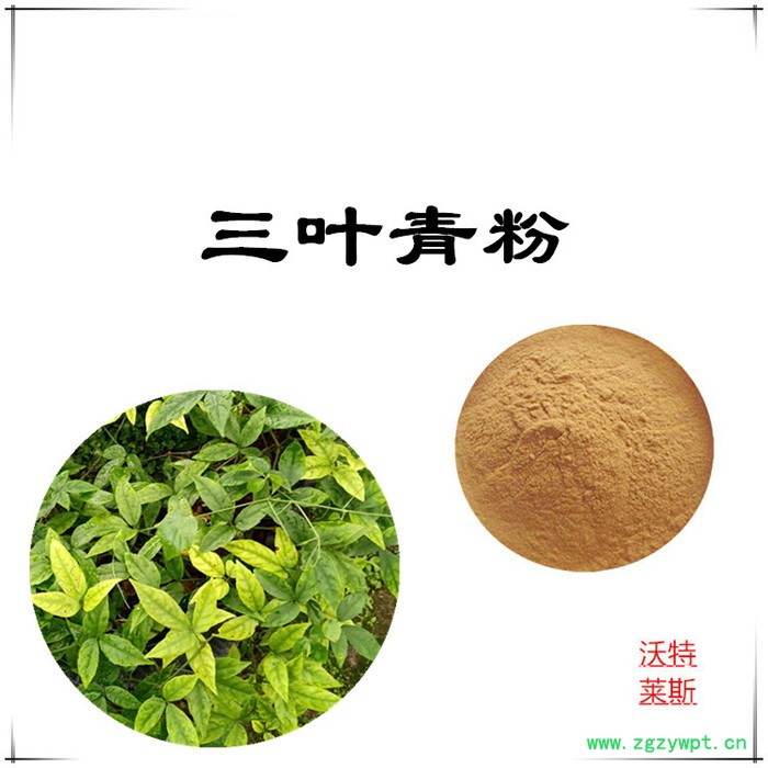 沃特莱斯 三叶青提取物10:1  速溶三叶青粉图5