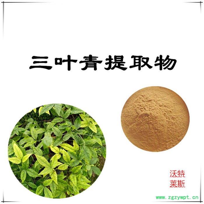 沃特莱斯 三叶青提取物10:1  速溶三叶青粉图4