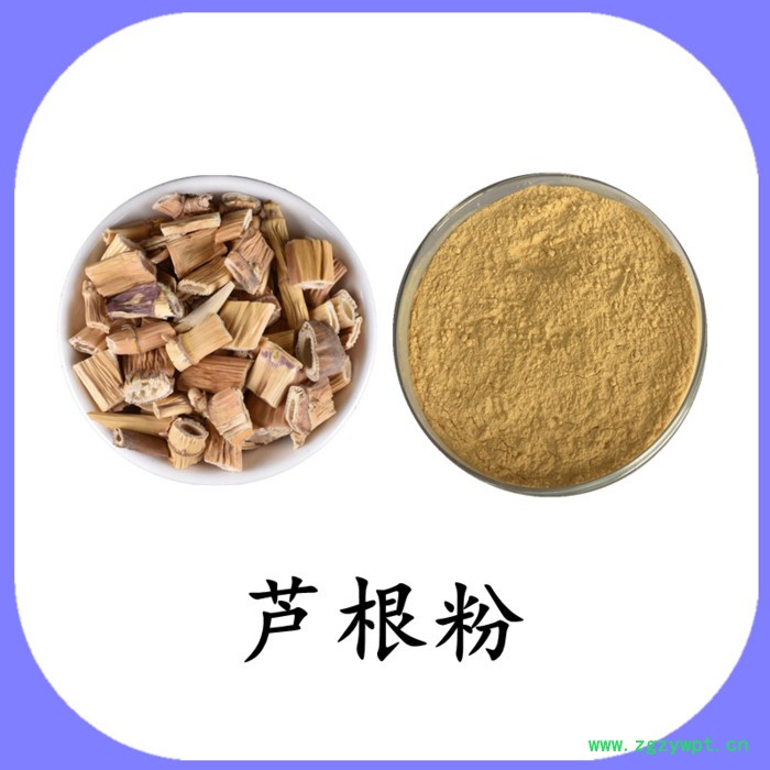 芦根粉 水溶 六盘韵 可定制图4