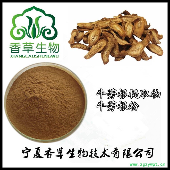 牛蒡根多糖10%-30% 牛蒡根提取物纯粉 批发牛蒡根流浸膏现做图3