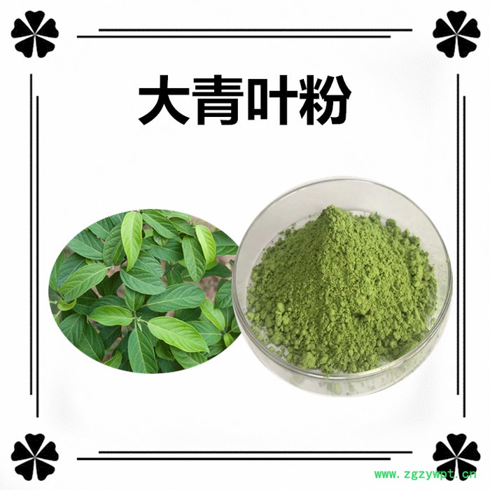 斯诺特生产 骨碎补粉  全水溶  骨碎补萃取物  骨碎补速溶粉图4