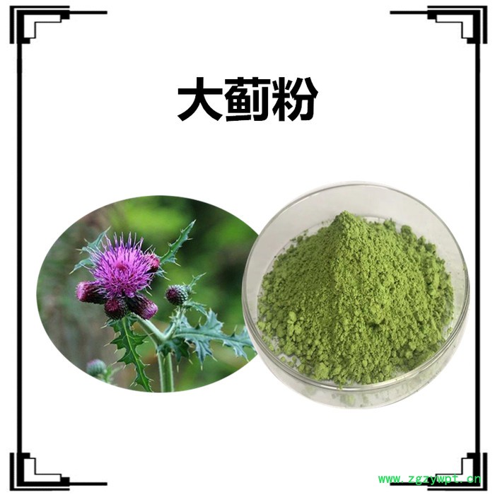 斯诺特生产 骨碎补粉  全水溶  骨碎补萃取物  骨碎补速溶粉图2