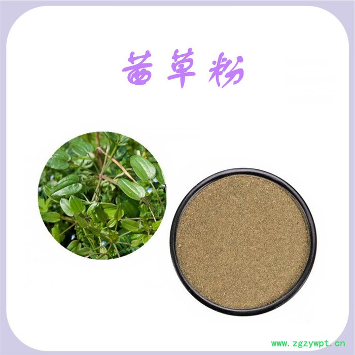 茜草提取物 水溶 可定制 茜草浓缩粉厂家 茜草粉图3