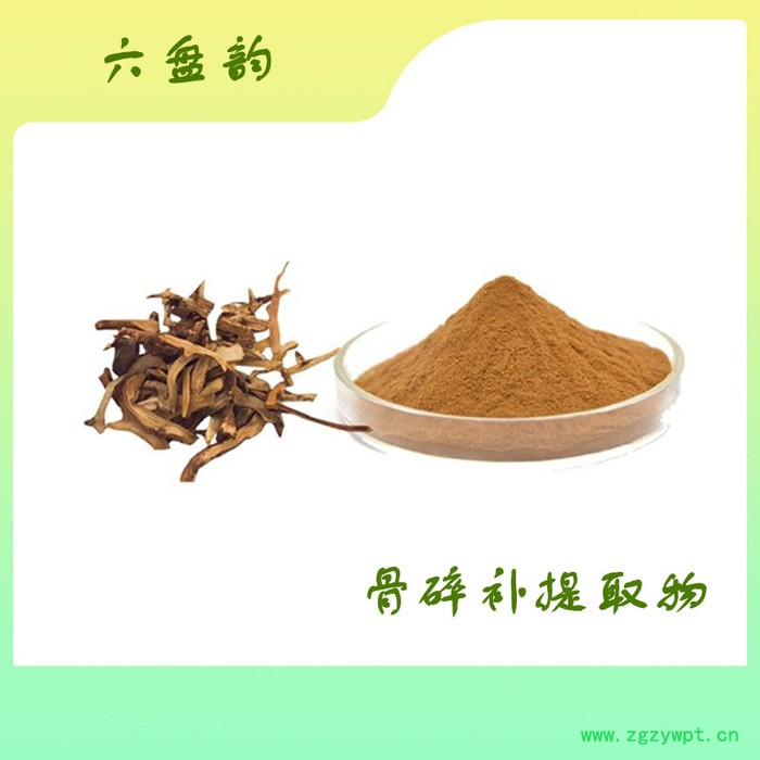 骨碎补提取物 六盘韵 水溶 植提厂家图3