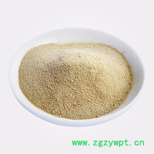 南箭 骨碎补提取物 原料/** （量多**现货） 骨碎补提取物产品价格图2