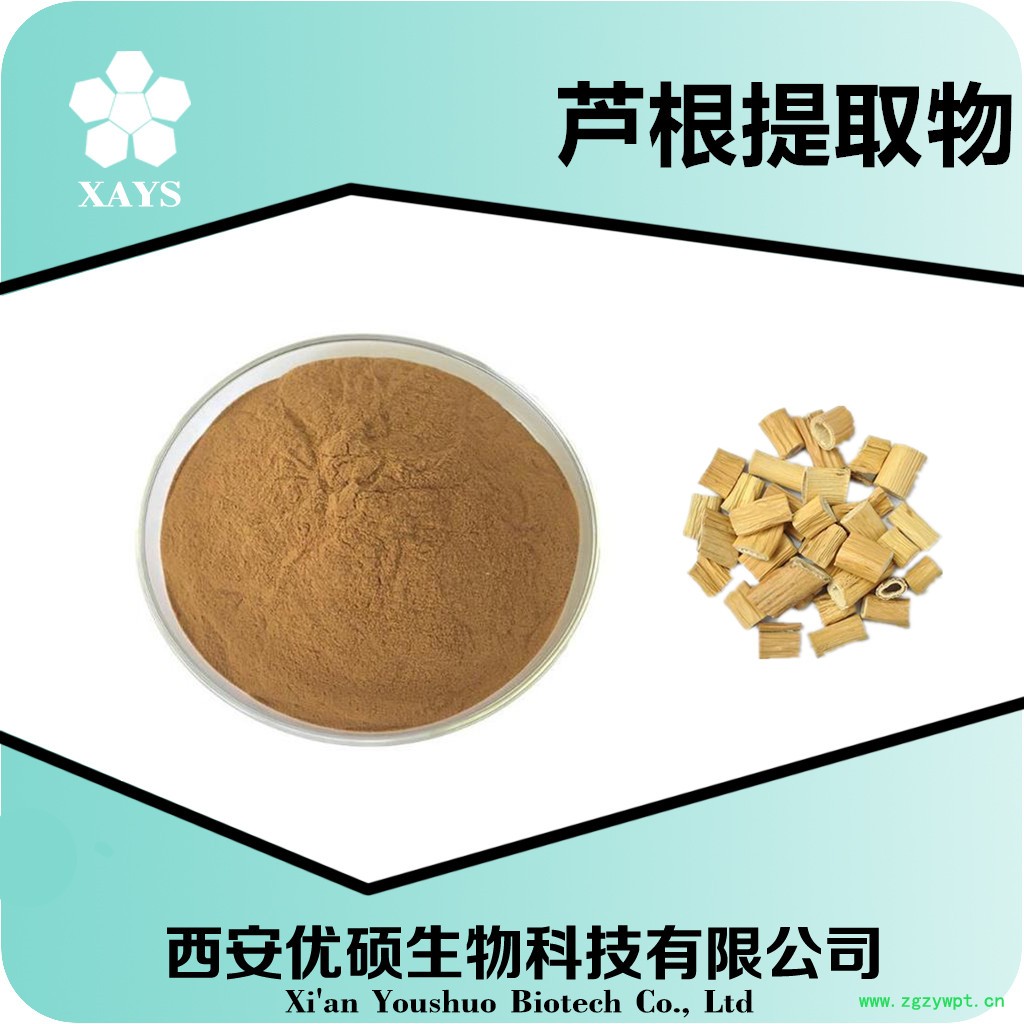 芦根提取物 芦根粉 芦根食品原料 资质齐全厂家包邮西安优硕