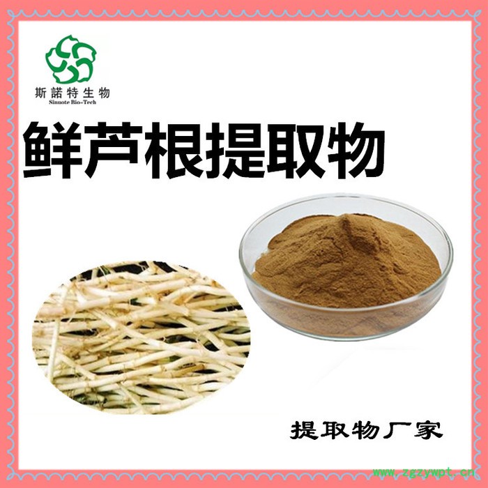 斯诺特 鲜芦根浸膏粉 鲜芦根喷雾干燥粉 药食同源 植物提取物图6