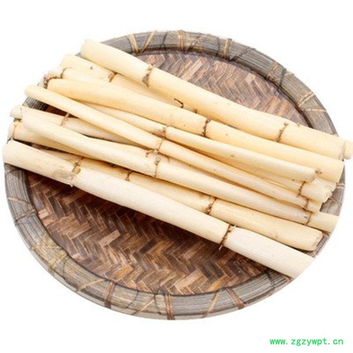 斯诺特 鲜芦根浸膏粉 鲜芦根喷雾干燥粉 药食同源 植物提取物图2