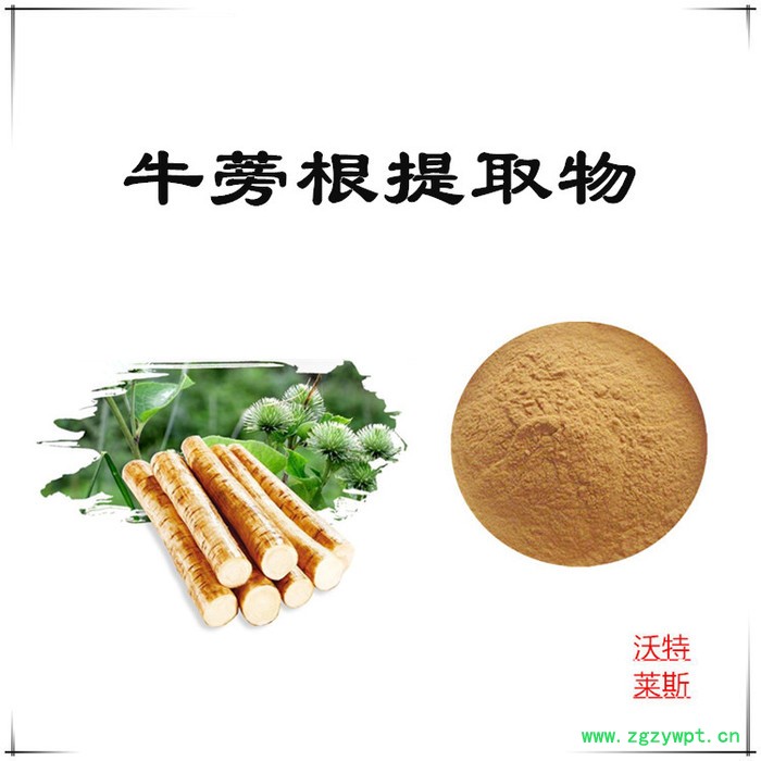 牛蒡根多糖30% 沃特莱斯 牛蒡根提取物 10:1 牛蒡根粉图2