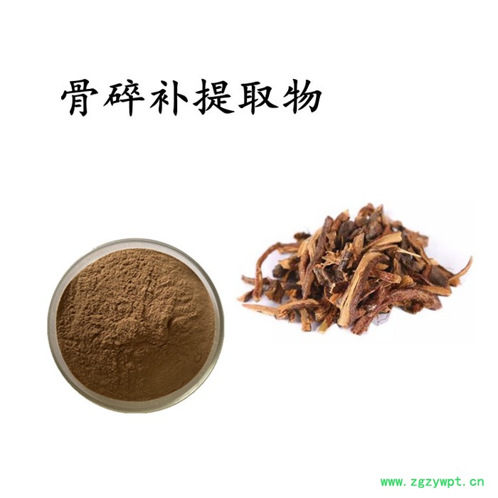 骨碎补提取物 骨碎补浸膏粉 水溶 99% 可定制图3
